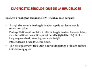 DIAGNOSTIC SÉROLOGIQUE DE LA BRUCELLOSE
Epreuve à l'antigène tamponné (EAT)= test au rose Bengale.
• Il s'agit d'une variante d'agglutination rapide sur lame avec le
sérum non dilué.
• L'interprétation est similaire à celle de l'agglutination lente en tubes
mais la cinétique des anticorps est décalée (IgG détectés) et plus
longue que celle du sérodiagnostic de Wright.
• Intérêt dans la brucellose chronique.
• Elle est également très utile pour le dépistage et les enquêtes
épidémiologiques.
43
 