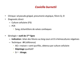Coxiella burnetii
• Clinique: sd pseudo grippal, pneumonie atypique, fièvre Q, EI
• Diagnostic direct
– Culture cellulaire (P3)
– PCR
• Sang, échantillons de valves cardiaques
• Sérologie = outil de 1ère ligne
– Indication : bilan des fièvres au long cours et EI à hémocultures négatives
– Technique : IFI (référence)
• AG « maison » semi-purifiés, obtenus par culture cellulaire
• Dépistage qualitatif
• Si ⊕ : titrage.
 
