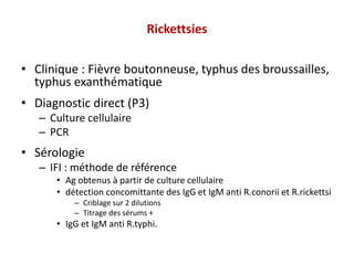 Rickettsies
• Clinique : Fièvre boutonneuse, typhus des broussailles,
typhus exanthématique
• Diagnostic direct (P3)
– Culture cellulaire
– PCR
• Sérologie
– IFI : méthode de référence
• Ag obtenus à partir de culture cellulaire
• détection concomittante des IgG et IgM anti R.conorii et R.rickettsi
– Criblage sur 2 dilutions
– Titrage des sérums +
• IgG et IgM anti R.typhi.
 