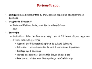 Bartonella spp.
• Clinique : maladie des griffes du chat, péliose hépatique et angiomatose
bacillaire
• Diagnostic direct (P3)
– Culture difficile et lente, pour Bartonella quintana
– PCR
• Sérologie
– Indications : bilan des fièvres au long cours et EI à hémocultures négatives
– IFI : méthode de référence
• Ag semi-purifiés obtenus à partir de culture cellulaire
• Détection concomitante des Ac anti B.henselae et B.quintana
• Criblage sur 2 dilutions
• Titrage des sérums + (Titres très élevés en cas d’EI)
• Réactions croisées avec Chlamydia spp et Coxiella spp.
 