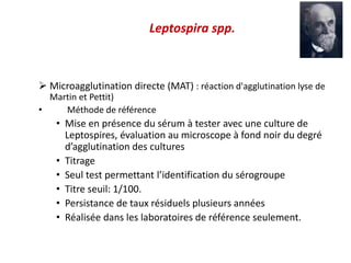 Leptospira spp.
 Microagglutination directe (MAT) : réaction d'agglutination lyse de
Martin et Pettit)
• Méthode de référence
• Mise en présence du sérum à tester avec une culture de
Leptospires, évaluation au microscope à fond noir du degré
d’agglutination des cultures
• Titrage
• Seul test permettant l’identification du sérogroupe
• Titre seuil: 1/100.
• Persistance de taux résiduels plusieurs années
• Réalisée dans les laboratoires de référence seulement.
 