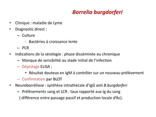 Borrelia burgdorferi
• Clinique : maladie de Lyme
• Diagnostic direct :
– Culture
• Bactéries à croissance lente
– PCR
• Indications de la sérologie : phase disséminée ou chronique
– Manque de sensibilité au stade initial de l’infection
– Dépistage ELISA :
• Résultat douteux en IgM à contrôler sur un nouveau prélèvement
– Confirmation par BLOT
• Neuroborréliose : synthèse intrathécale d’IgG anti B.burgdorferi
– Prélèvements sang et LCR : taux rapporté aux Ig du sang
( différence entre passage passif et production locale d’Ac).
 