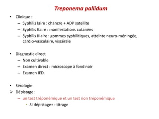 Treponema pallidum
• Clinique :
– Syphilis Iaire : chancre + ADP satellite
– Syphilis IIaire : manifestations cutanées
– Syphilis IIIaire : gommes syphilitiques, atteinte neuro-méningée,
cardio-vasculaire, viscérale
• Diagnostic direct
– Non cultivable
– Examen direct : microscope à fond noir
– Examen IFD.
• Sérologie
 Dépistage:
– un test tréponémique et un test non tréponémique
• Si dépistage+ : titrage
 