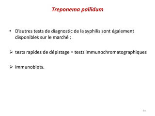 • D’autres tests de diagnostic de la syphilis sont également
disponibles sur le marché :
 tests rapides de dépistage = tests immunochromatographiques
 immunoblots.
64
Treponema pallidum
 