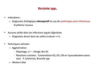 Yersinia spp.
• Indications :
– Diagnostic étiologique rétrospectif en cas de pathologie post-infectieuse
Erythème noueux
• Aucune utilité dans les infections aiguës digestives
– Diagnostic direct dans les selles (culture +++)
• Techniques utilisées
– Agglutination
• Dépistage, si ⊕ : titrage des AC
• Réactions croisées : Y.enterolitica O3, O5, O9 et Y.pseudotuberculosis
avec F. tularensis, Brucella spp
– Western blot
 