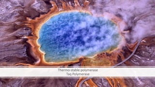 Thermo-stable polymerase
Taq Polymerase
 