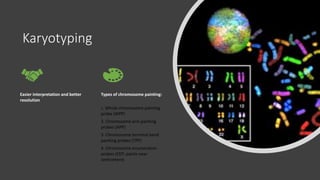 Karyotyping
Easier interpretation and better
resolution
Types of chromosome painting:
1. Whole chromosome painting
probe (WPP)
2. Chromosome arm painting
probes (APP)
3. Chromosome terminal band
painting probes (TPP)
4. Chromosome enumeration
probes (CEP; paints near
centromere)
 