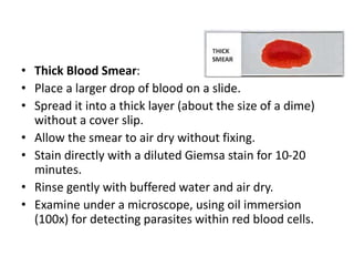 • Thick Blood Smear:
• Place a larger drop of blood on a slide.
• Spread it into a thick layer (about the size of a dime)
without a cover slip.
• Allow the smear to air dry without fixing.
• Stain directly with a diluted Giemsa stain for 10-20
minutes.
• Rinse gently with buffered water and air dry.
• Examine under a microscope, using oil immersion
(100x) for detecting parasites within red blood cells.
 