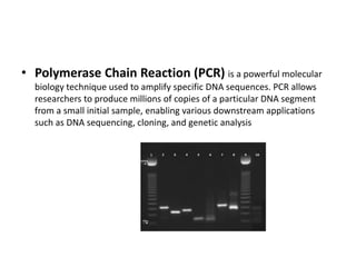 • Polymerase Chain Reaction (PCR) is a powerful molecular
biology technique used to amplify specific DNA sequences. PCR allows
researchers to produce millions of copies of a particular DNA segment
from a small initial sample, enabling various downstream applications
such as DNA sequencing, cloning, and genetic analysis
 