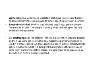 • Western blot is a widely used laboratory technique in molecular biology
and biochemistry that is employed to detect specific proteins in a sample
• Sample Preparation: The first step involves preparing a protein sample
from tissues or cells. The sample is usually lysed to break open the cells
and release the proteins.
• Gel Electrophoresis: The proteins in the sample are then separated based
on their size using gel electrophoresis. Typically, a polyacrylamide gel is
used in a process called SDS-PAGE (sodium dodecyl sulfate-polyacrylamide
gel electrophoresis). SDS is a detergent that denatures the proteins and
gives them a uniform negative charge, allowing them to be separated by
size when an electric current is applied.
 