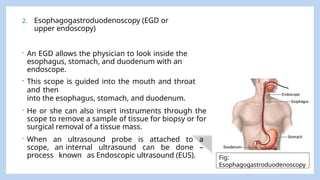 DiagnosticTestsGastrointestinalTract.pptx