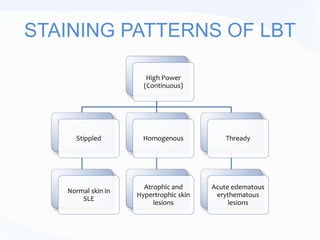 STAINING PATTERNS OF LBT
High Power
(Continuous)
Stippled
Normal skin in
SLE
Homogenous
Atrophic and
Hypertrophic skin
lesions
Thready
Acute edematous
erythematous
lesions
 