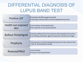 DIFFERENTIAL DIAGNOSIS OF
LUPUS BAND TEST
•Granular band/Homogenous band
•Vertically oriented fibres at dermoepidermal junctionPositive LBT
•Less intense, interrupted band
•No reactivity in sun protected skin
Health sun exposed
skin
•Sharply defined thin linear band at dermoepidermal junction
•Circulating antibodies against basement membrane antigenBullous Pemphigoid
•Fluorescence of dermoepidermal junction is less intense than
that of dermal blood vesselsPorphyria
•Less intense
•Focal or interrupted bandRosacea/PMLE
 