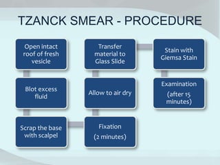 TZANCK SMEAR - PROCEDURE
Open intact
roof of fresh
vesicle
Blot excess
fluid
Scrap the base
with scalpel
Fixation
(2 minutes)
Allow to air dry
Transfer
material to
Glass Slide
Stain with
Giemsa Stain
Examination
(after 15
minutes)
 