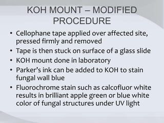 KOH MOUNT – MODIFIED
PROCEDURE
• Cellophane tape applied over affected site,
pressed firmly and removed
• Tape is then stuck on surface of a glass slide
• KOH mount done in laboratory
• Parker’s ink can be added to KOH to stain
fungal wall blue
• Fluorochrome stain such as calcofluor white
results in brilliant apple green or blue white
color of fungal structures under UV light
 