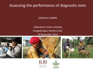 Assessing the performance of diagnostic tests
Johanna Lindahl
Laboratory review meeting
Ouagadougou, Burkina Faso
19 December 2019
 
