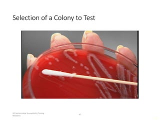 Assessing the performance of diagnostic tests