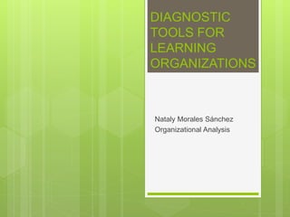 DIAGNOSTIC
TOOLS FOR
LEARNING
ORGANIZATIONS
Nataly Morales Sánchez
Organizational Analysis
 