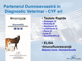 Partenerul Dumneavoastră in
Diagnostic Veterinar - CYF srl
• Testele Rapide
− Distemper IC
− Ehrlichia IC
− Heartworm IC
− Leishmania IC
− Parvo IC
−Lyme IC
− FeLV/FIV/FPV IC
• ELISA
•Imunofluorescenţă
Babesia Canis, Hemobartonella
 