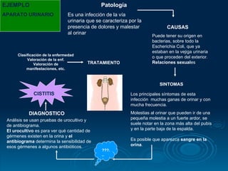 Patología Es una infección de la vía urinaria que se caracteriza por la presencia de dolores y malestar al orinar  Puede tener su origen en bacterias, sobre todo la Escherichia Coli, que ya estaban en la vejiga urinaria o que proceden del exterior.  Relaciones sexual es Los principales síntomas de esta infección  muchas ganas de orinar y con mucha frecuencia. Molestias al orinar que pueden ir de una pequeña molestia a un fuerte ardor, se suele notar en la zona más alta del pubis y en la parte baja de la espalda.  Es posible que aparezca  sangre en la orina .  Análisis se usan pruebas de urocultivo y de antibiograma.  El urocultivo  es para ver qué cantidad de gérmenes existen en la orina y  el antibiograma  determina la sensibilidad de esos gérmenes a algunos antibióticos.  ???... DIAGNOSTICO CISTITIS CAUSAS SINTOMAS Clasificación de la enfermedad Valoración de la enf. Valoración de manifestaciones, etc. TRATAMIENTO EJEMPLO APARATO URINARIO 