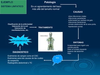 Patología Es un agrandamiento del bazo más allá del tamaño normal  Incapacidad para ingerir una comida grande  Dolor en el lado izquierdo superior del abdomen  Hipo  Exámenes de sangre como el CSC  Exámenes para las causas de las cuales se sospecha  Radiografía abdominal o TC  ???... DIAGNOSTICO ESPLENOMEGALIA CAUSAS SINTOMAS Clasificación de la enfermedad Valoración de la enf. Valoración de manifestaciones, etc. TRATAMIENTO EJEMPLO SISTEMA LINFATICO otras infecciones virales  infecciones parasitarias  enfermedad por arañazo de gato  infecciones bacterianas cirrosis (obstrucción de la vena porta, hipertensión portal)   
