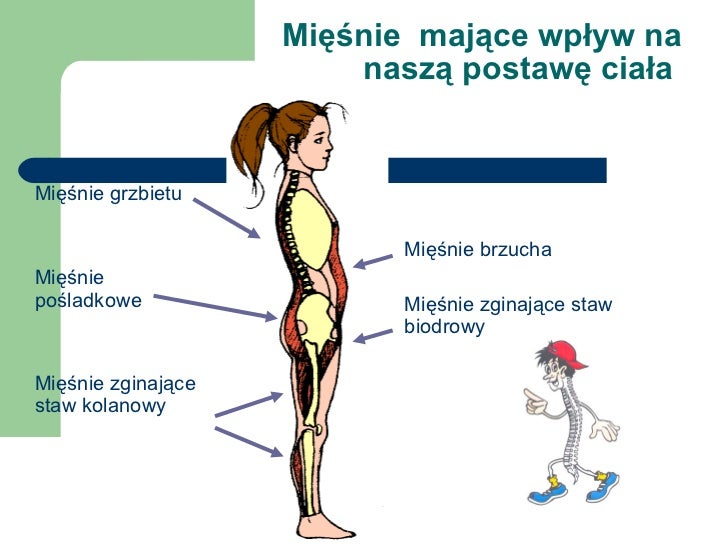 Opisz Jak Wygląda Prawidłowa Postawa Ciała Diagnostyka i profilaktyka wad postawy