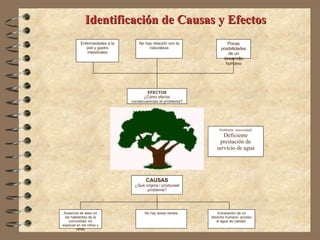 Identificación de Causas y Efectos Problema  (necesidad) Deficiente prestación de servicio de agua Ausencia de aseo en los habitantes de la comunidad, en especial en los niños y niñas EFECTOS ¿Cómo afecta/ consecuencias el problema? No hay áreas verdes CAUSAS ¿Qué origina / produceel problema? Enfermedades a la piel y gastro intestinales Vulneración de un derecho humano: acceso al agua de calidad. No hay relación con la naturaleza Pocas posibilidades de un desarrollo humano 