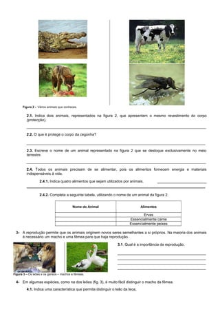 Figura 2 - Vários animais que conheces.
2.1. Indica dois animais, representados na figura 2, que apresentem o mesmo revestimento do corpo
(protecção).
_____________________________________________________________________________________________________________
2.2. O que é protege o corpo da cegonha?
_______________________________________________________________________________________
2.3. Escreve o nome de um animal representado na figura 2 que se desloque exclusivamente no meio
terrestre.
_____________________________________________________________________________________________________________
2.4. Todos os animais precisam de se alimentar, pois os alimentos fornecem energia e materiais
indispensáveis à vida.
2.4.1. Indica quatro alimentos que sejam utilizados por animais. ________________________
_______________________________________________________________________________________
2.4.2. Completa a seguinte tabela, utilizando o nome de um animal da figura 2.
Nome do Animal Alimentos
Ervas
Essencialmente carne
Essencialmente peixes
3- A reprodução permite que os animais originem novos seres semelhantes a si próprios. Na maioria dos animais
é necessário um macho e uma fêmea para que haja reprodução.
3.1. Qual é a importância da reprodução.
___________________________________________
___________________________________________
___________________________________________
___________________________________________
Figura 3 – Os leões e os gansos – machos e fêmeas.
4- Em algumas espécies, como na dos leões (fig. 3), é muito fácil distinguir o macho da fêmea.
4.1. Indica uma característica que permita distinguir o leão da leoa.
 