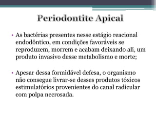 • As bactérias presentes nesse estágio reacional
endodôntico, em condições favoráveis se
reproduzem, morrem e acabam deixando ali, um
produto invasivo desse metabolismo e morte;
• Apesar dessa formidável defesa, o organismo
não consegue livrar-se desses produtos tóxicos
estimulatórios provenientes do canal radicular
com polpa necrosada.
 