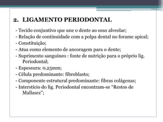 2. LIGAMENTO PERIODONTAL
- Tecido conjuntivo que une o dente ao osso alveolar;
- Relação de continuidade com a polpa dental no forame apical;
- Constituição;
- Atua como elemento de ancoragem para o dente;
- Suprimento sanguíneo : fonte de nutrição para o próprio lig.
Periodontal;
- Espessura: 0,25mm;
- Célula predominante: fibroblasto;
- Componente estrutural predominante: fibras colágenas;
- Interstício do lig. Periodontal encontram-se “Restos de
Mallasez”;
 