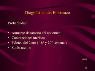 Diagnóstico del Embarazo Probabilidad: Aumento de tamaño del abdomen Contracciones uterinas Peloteo del útero ( 16° y 20° semana ) Soplo uterino NEFM 
