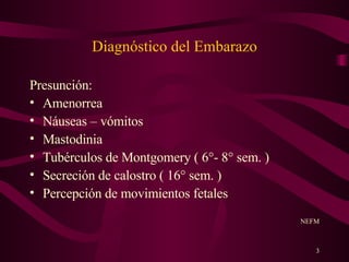 Diagnóstico del Embarazo Presunción: Amenorrea Náuseas – vómitos Mastodinia Tubérculos de Montgomery ( 6°- 8° sem. ) Secreción de calostro ( 16° sem. ) Percepción de movimientos fetales NEFM 