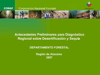 Antecedentes Preliminares para Diagnóstico Regional sobre Desertificación y Sequía   DEPARTAMENTO FORESTAL Región de Atacama  2007 