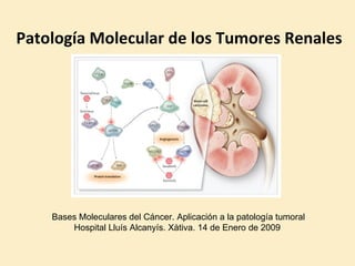 Patología Molecular de los Tumores Renales Bases Moleculares del Cáncer. Aplicación a la patología tumoral Hospital Lluís Alcanyís. Xàtiva. 14 de Enero de 2009  