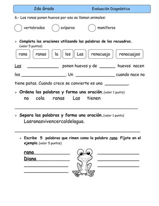 2do Grado Evaluación Diagnóstica
6.- Las ranas ponen huevos por eso se llaman animales:
vertebrados ovíparos mamíferos
 Completa las oraciones utilizando las palabras de los recuadros.
(valor 5 puntos)
Las ____________ ponen huevos y de ______ huevos nacen
los _________________. Un _______________ cuando nace no
tiene patas. Cuando crece se convierte es una _________.
 Ordena las palabras y forma una oración.(valor 1 punto)
no cola ranas Las tienen
______________________________________________________
 Separa las palabras y forma una oración.(valor 1 punto)
Lasranasvivencercaldelagua.
_______________________________________________________
 Escribe 5 palabras que rimen como la palabra rana. Fíjate en el
ejemplo.(valor 5 puntos)
rana ________________
Diana ________________
_________________ ________________
_________________
rana ranas la los Las renacuajo renacuajos
 