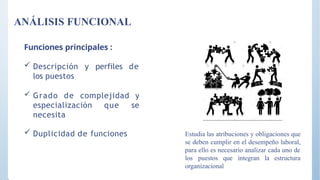 ANÁLISIS FUNCIONAL
Estudia las atribuciones y obligaciones que
se deben cumplir en el desempeño laboral,
para ello es necesario analizar cada uno de
los puestos que integran la estructura
organizacional
Funciones principales :
 Descripción y perfiles de
los puestos
 Grado de complejidad y
especialización que se
necesita
 Duplicidad de funciones
 