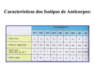 Características dos Isotipos de Anticorpos: 