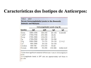 Características dos Isotipos de Anticorpos: 