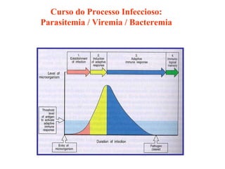 Curso do Processo Infeccioso: Parasitemia / Viremia / Bacteremia 