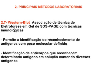 2- PRINCIPAIS MÉTODOS LABORATORIAIS 2.7- Western-Blot :  Associação de técnica de Eletroforese em Gel de SDS-PAGE com técnicas imunológicas Permite a identificação do reconhecimento de antígenos com peso molecular definido Identificação de anticorpos que reconhecem determinado antígeno em solução contendo diversos antígenos 
