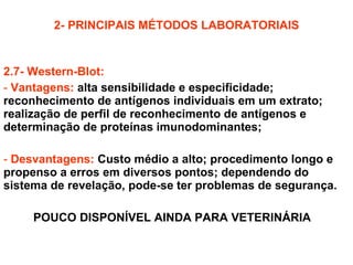 2.7- Western-Blot: Vantagens:   alta sensibilidade e especificidade; reconhecimento de antígenos individuais em um extrato; realização de perfil de reconhecimento de antígenos e determinação de proteínas imunodominantes; Desvantagens:   Custo médio a alto; procedimento longo e propenso a erros em diversos pontos; dependendo do sistema de revelação, pode-se ter problemas de segurança. POUCO DISPONÍVEL AINDA PARA VETERINÁRIA 2- PRINCIPAIS MÉTODOS LABORATORIAIS 