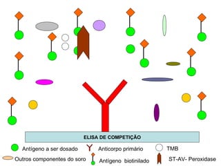 ELISA DE COMPETIÇÃO Outros componentes do soro Antígeno a ser dosado Anticorpo primário Antígeno  biotinilado TMB ST-AV- Peroxidase 