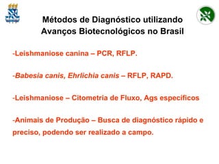 Métodos de Diagnóstico utilizando Avanços Biotecnológicos no Brasil Leishmaniose canina – PCR, RFLP. Babesia canis, Ehrlichia canis  – RFLP, RAPD. Leishmaniose – Citometria de Fluxo, Ags específicos Animais de Produção – Busca de diagnóstico rápido e preciso, podendo ser realizado a campo. 