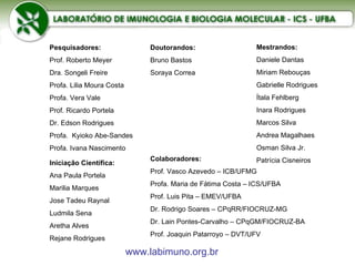 Colaboradores: Prof. Vasco Azevedo – ICB/UFMG Profa. Maria de Fátima Costa – ICS/UFBA Prof. Luis Pita – EMEV/UFBA Dr. Rodrigo Soares – CPqRR/FIOCRUZ-MG Dr. Lain Pontes-Carvalho – CPqGM/FIOCRUZ-BA Prof. Joaquin Patarroyo – DVT/UFV Doutorandos: Bruno Bastos Soraya Correa Mestrandos: Daniele Dantas Miriam Rebouças Gabrielle Rodrigues Ítala Fehlberg Inara Rodrigues Marcos Silva Andrea Magalhaes Osman Silva Jr. Patrícia Cisneiros Iniciação Científica: Ana Paula Portela Marilia Marques Jose Tadeu Raynal Ludmila Sena Aretha Alves Rejane Rodrigues Pesquisadores: Prof. Roberto Meyer Dra. Songeli Freire Profa. Lilia Moura Costa Profa. Vera Vale Prof. Ricardo Portela Dr. Edson Rodrigues Profa.  Kyioko Abe-Sandes Profa. Ivana Nascimento www.labimuno.org.br 