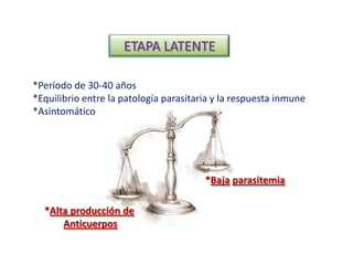 ETAPA LATENTE
*Período de 30-40 años
*Equilibrio entre la patología parasitaria y la respuesta inmune
*Asintomático
*Baja parasitemia
*Alta producción de
Anticuerpos
 