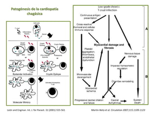 Patogénesis de la cardiopatía
chagásica
Martin-Neto et al. Circulation 2007;115:1109-1123León and Engman. Int. J. for Parasit. 31 (2001) 555-561
 