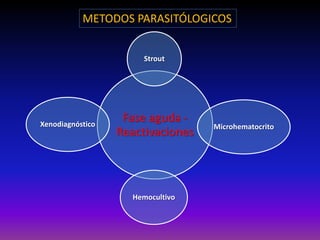 METODOS PARASITÓLOGICOS
Fase aguda -
Reactivaciones
Xenodiagnóstico Microhematocrito
Hemocultivo
Strout
 