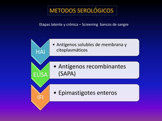 METODOS SEROLÓGICOS
HAI
• Antígenos solubles de membrana y
citoplasmáticos
ELISA
• Antígenos recombinantes
(SAPA)
IFI
• Epimastigotes enteros
Etapas latente y crónica – Screening bancos de sangre
 