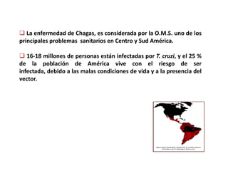  La enfermedad de Chagas, es considerada por la O.M.S. uno de los
principales problemas sanitarios en Centro y Sud América.
 16-18 millones de personas están infectadas por T. cruzi, y el 25 %
de la población de América vive con el riesgo de ser
infectada, debido a las malas condiciones de vida y a la presencia del
vector.
 