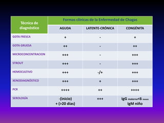Técnica de
diagnóstico
Formas clínicas de la Enfermedad de Chagas
AGUDA LATENTE-CRÓNICA CONGÉNITA
GOTA FRESCA + - +
GOTA GRUESA ++ - ++
MICROCONCENTRACION +++ - +++
STROUT +++ - +++
HEMOCULTIVO +++ -/+ +++
XENODIAGNÓSTICO +++ + +++
PCR ++++ ++ ++++
SEROLOGÍA -(inicio)
+ (>20 días)
+++ IgG materna<6 meses
IgM niño
 